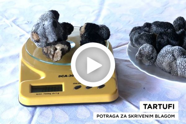 tartuf-74D2B2F6F-D7CF-9E43-0693-FAD21BCFC315.jpg